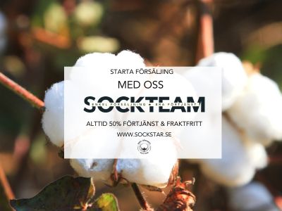 Sockteam